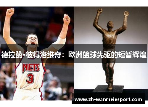 德拉赞·彼得洛维奇：欧洲篮球先驱的短暂辉煌